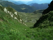 89 non torno alla Bocchetta di Budria, ma scendo a vista da questo canalino...